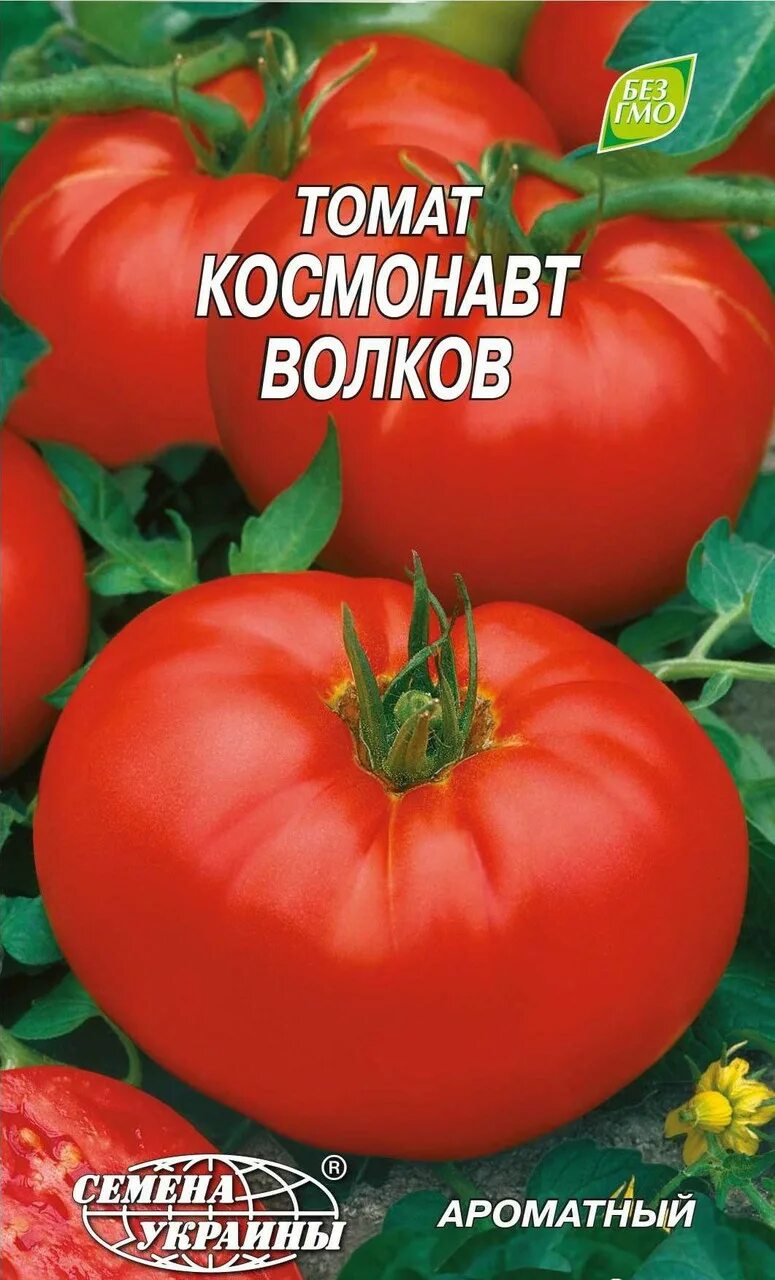 Помидор космонавт волков отзывы фото Наследие космоса: Семена томата Космонавт Волков Планета земля Фотогалерея приро