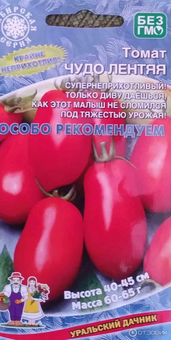 Помидор лентяйка описание фото отзывы Отзыв о Семена томатов Уральский дачник "Чудо лентяя" Отличный сорт для дачников