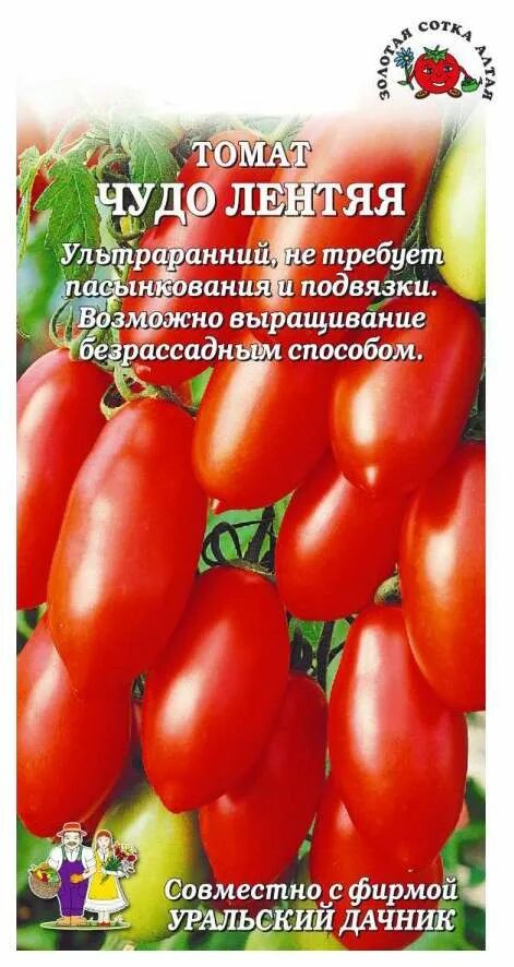 Помидор лентяйка описание фото отзывы Семена томат Золотая сотка Алтая Чудо лентяя 19603 1 уп. - отзывы покупателей на