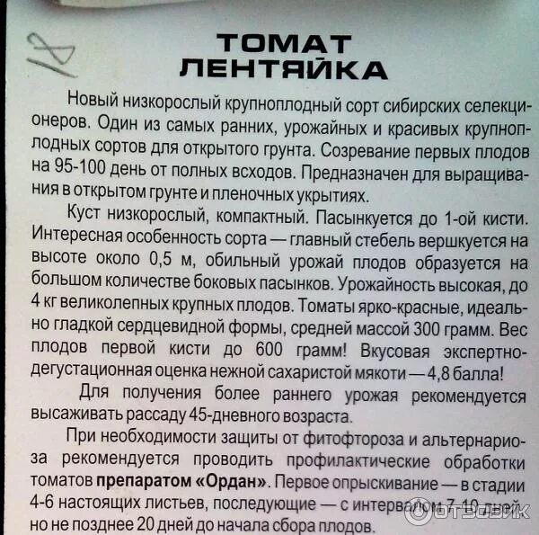 Помидор лентяйка описание фото отзывы Отзыв о Семена томата Сибирский сад "Лентяйка" Томат для ленивых огородников.