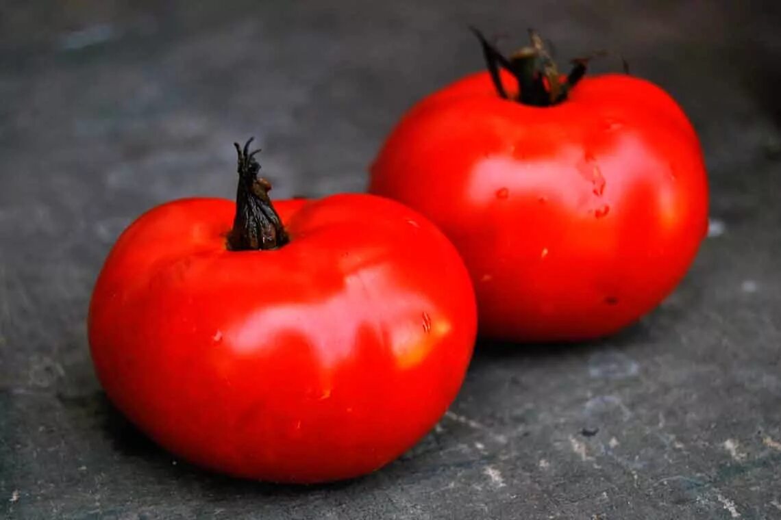 Помидор лентяйка описание фото отзывы Томат Мечта лентяя - вкус обычный, томатный