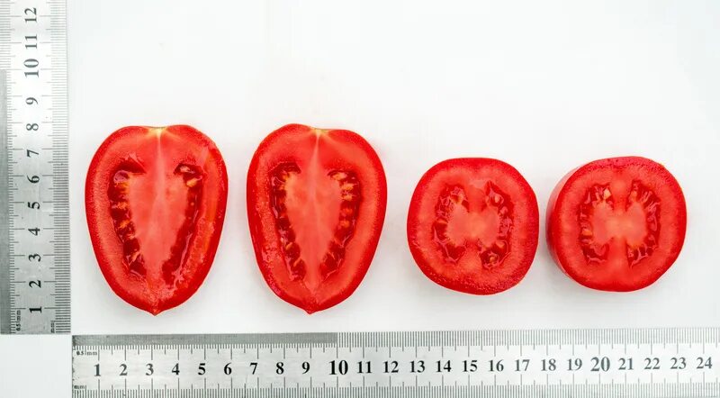 Помидор марселон фото Томат Марселон F1 от Партнер купить семена Почтой в Онсад