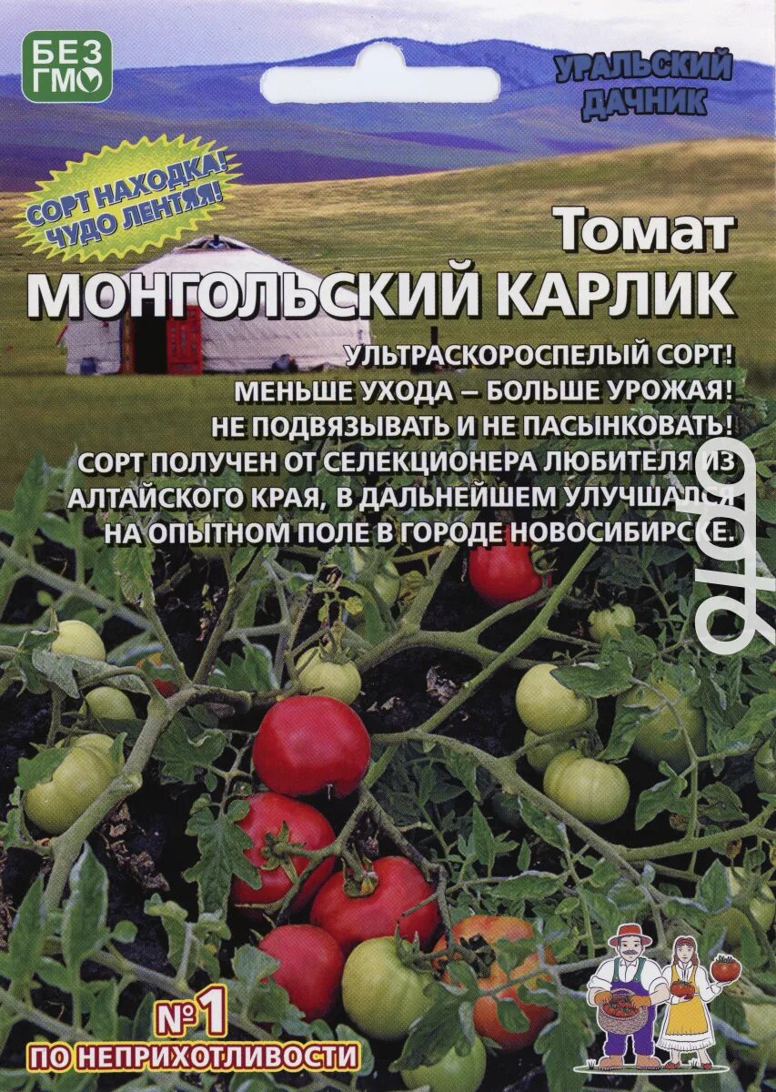 Томат Монгольский Карлик (семена 50 штук). Раннеспелый низкорослый сорт стелющег