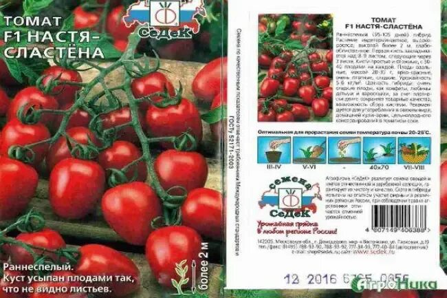 Помидор настенька описание сорта фото отзывы Сластена томат отзывы фото - DelaDom.ru