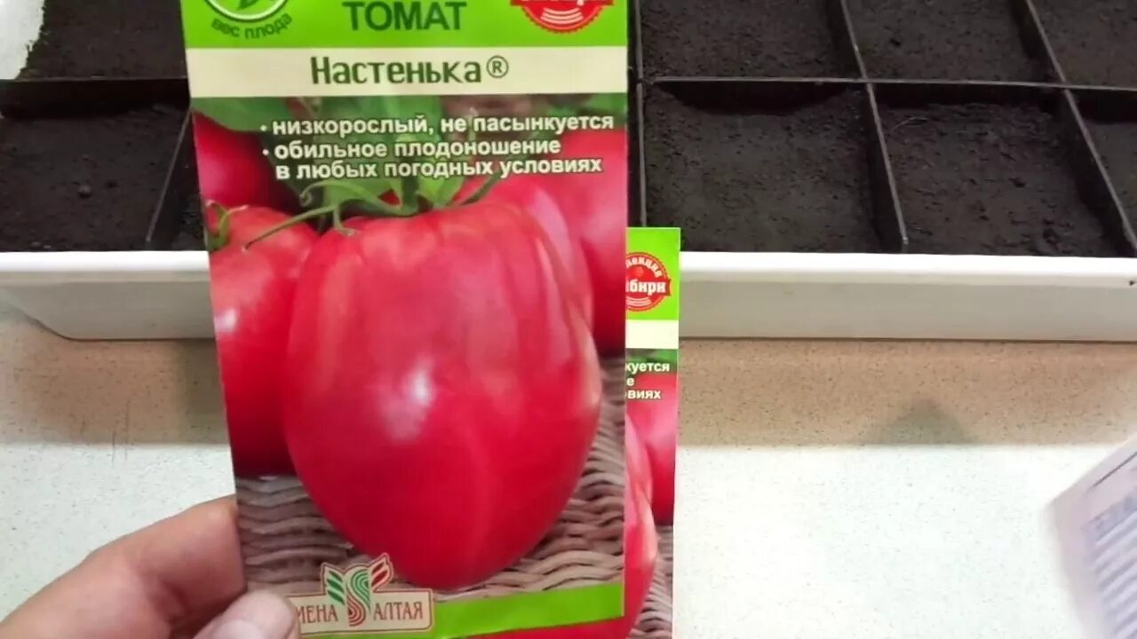 Помидор настенька описание сорта фото отзывы НАСТЕНЬКА И НАСТЮША - ОДИН СОРТ ИЛИ ДВА РАЗНЫХ? Ольга Чернова. - YouTube