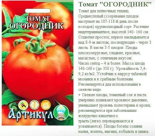 Помидор описание и фото отзывы огородников Томат Мечта огородника: характеристика и описание гибридного сорта с фото