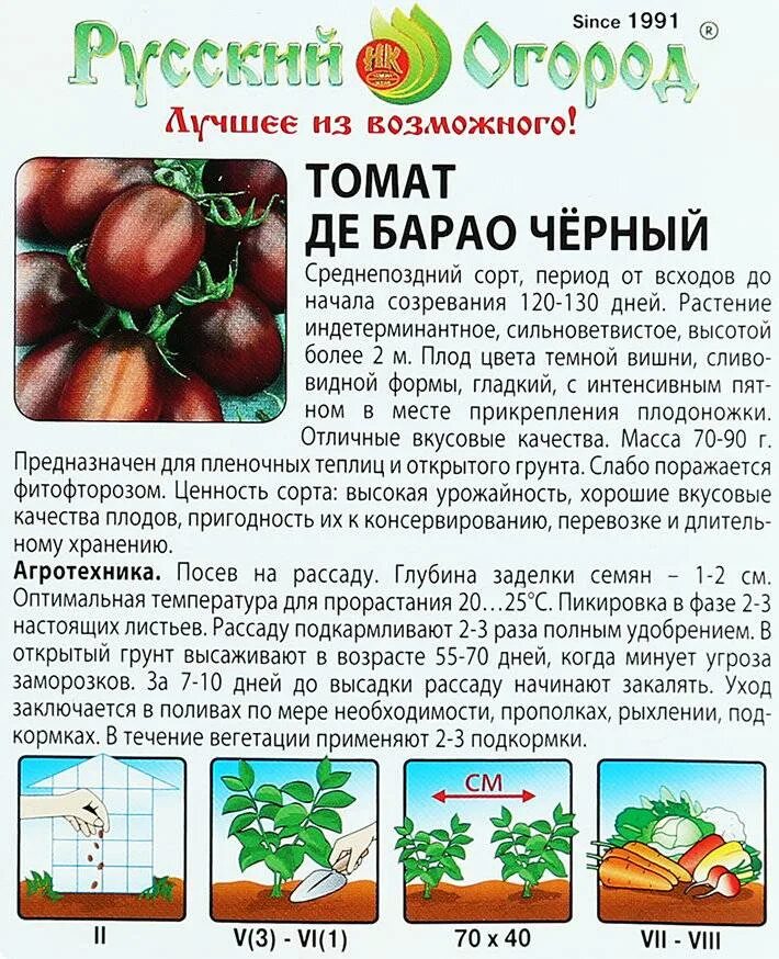 Помидор описание и фото отзывы огородников Томат Де-Барао: характеристика и описание сорта