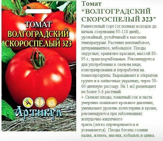 Помидор описание и фото отзывы огородников Томат Цифомандра: характеристика и описание высокоурожайного сорта с фото