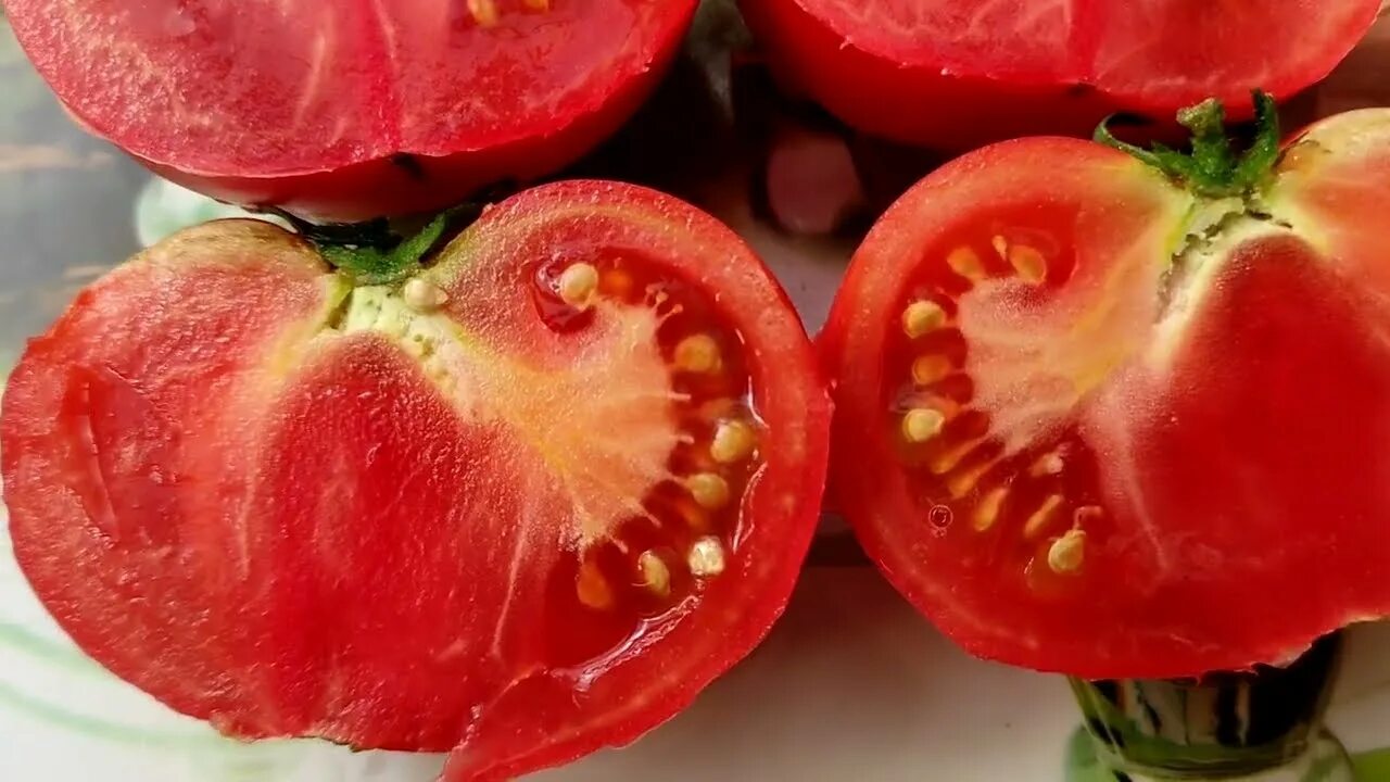 Помидор пень описание отзывы фото Томат Пень Мира - YouTube