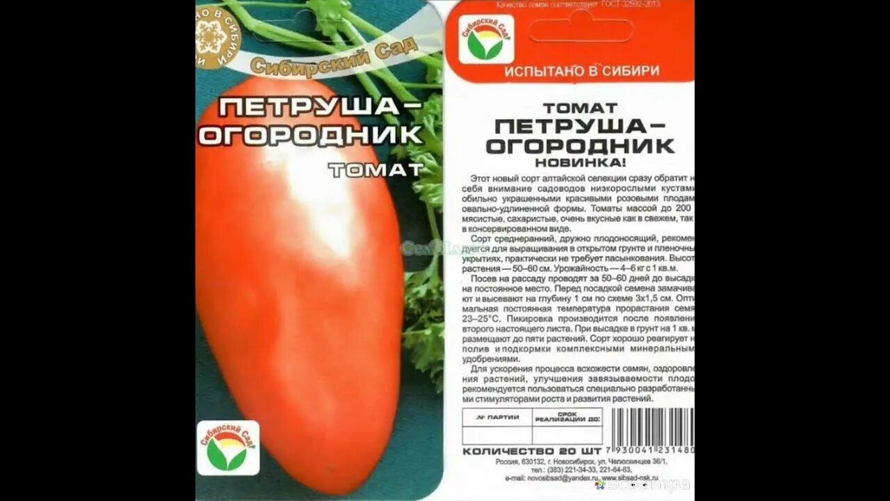 Помидор петруша огородник фото описание сорта томат открытого грунта.сорт петрушка огородник. - YouTube