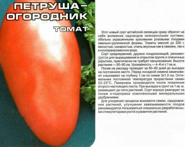 Помидор петруша огородник фото описание сорта Томат Петруша огородник: характеристика и описание сорта