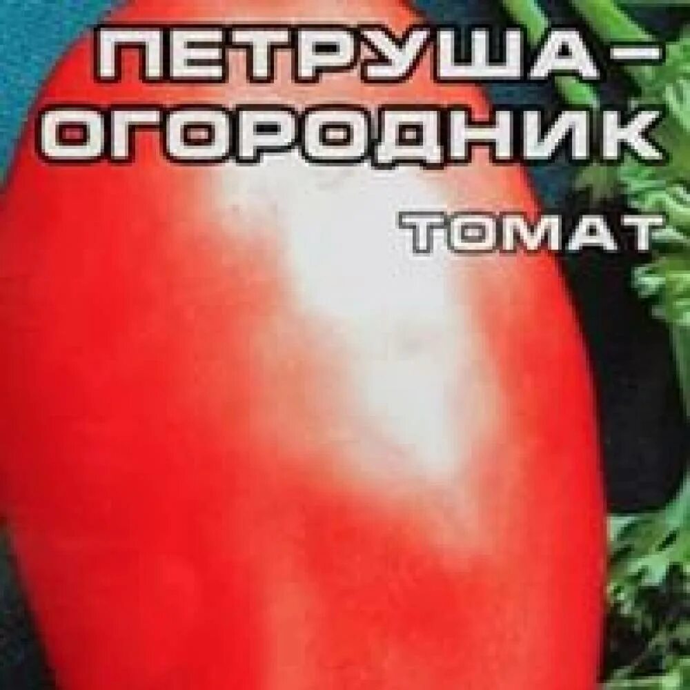 Помидор петруша огородник фото описание сорта Томат Петруша огородник: характеристика и описание сорта, отзывы дачников с фото