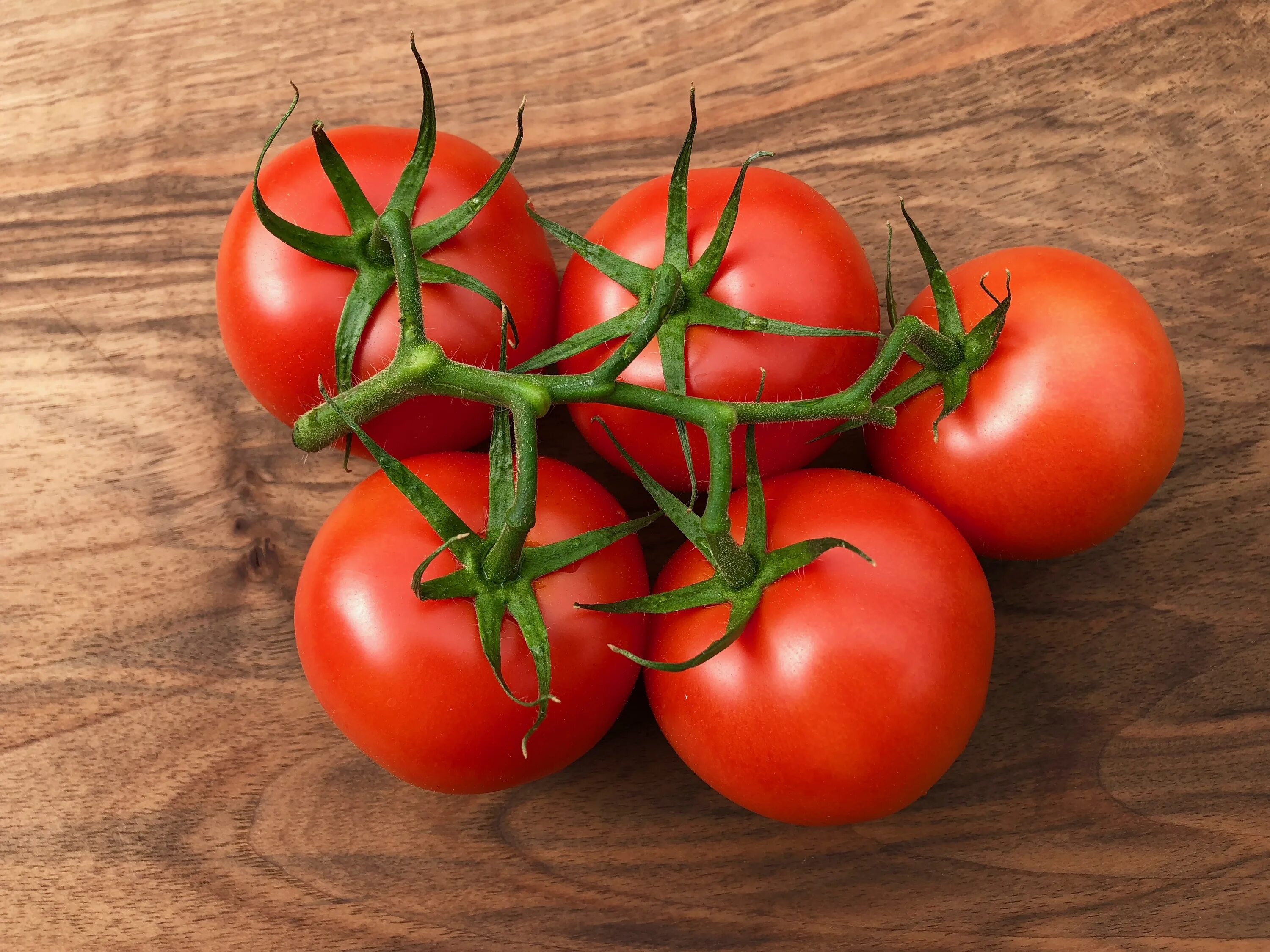 Помидор победа фото Red tomatoes on a branch on a wooden table free image download