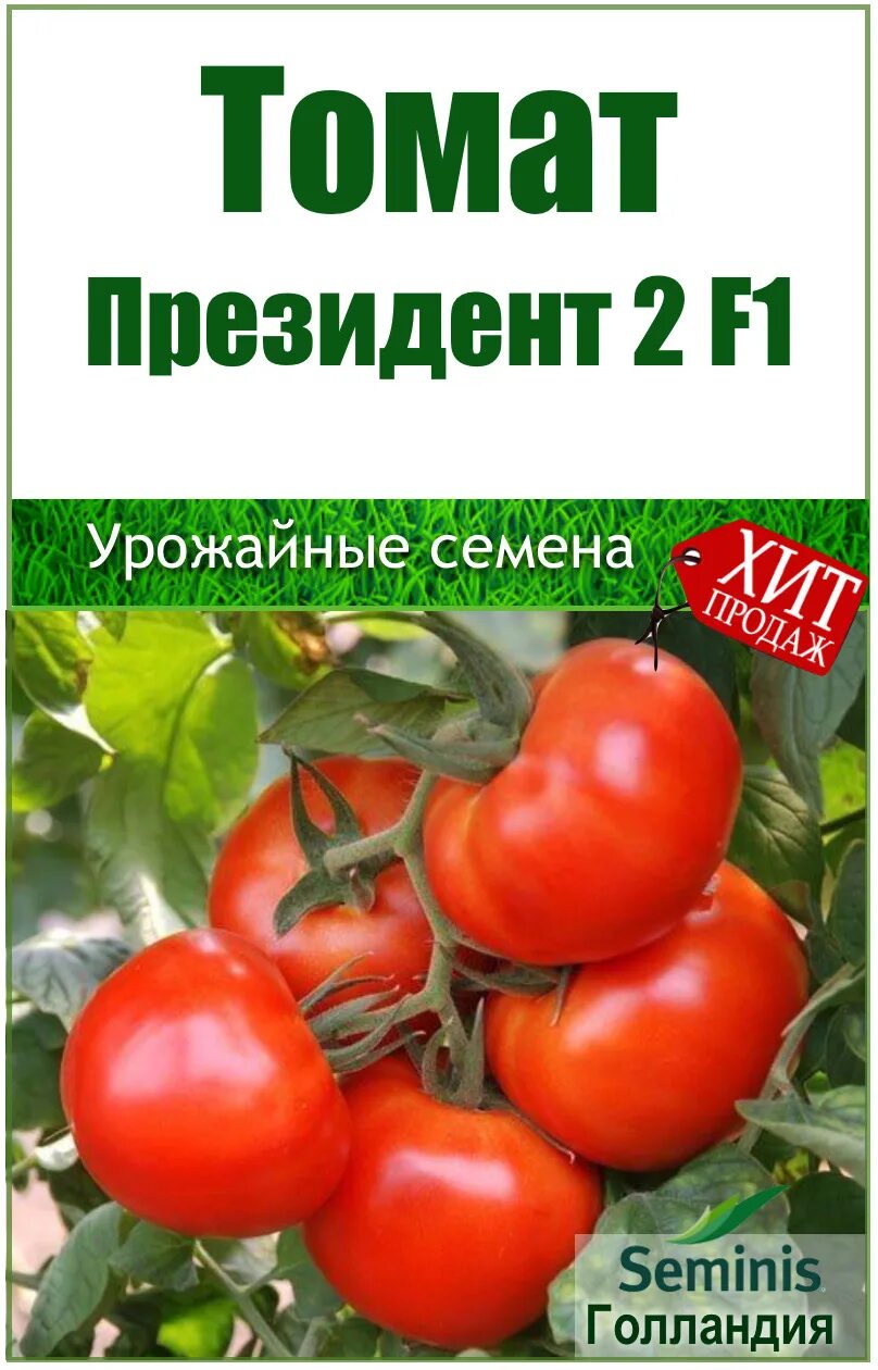 Помидор президент описание сорта фото Seminis Томат Президент 2 - купить по выгодным ценам в интернет-магазине OZON (5