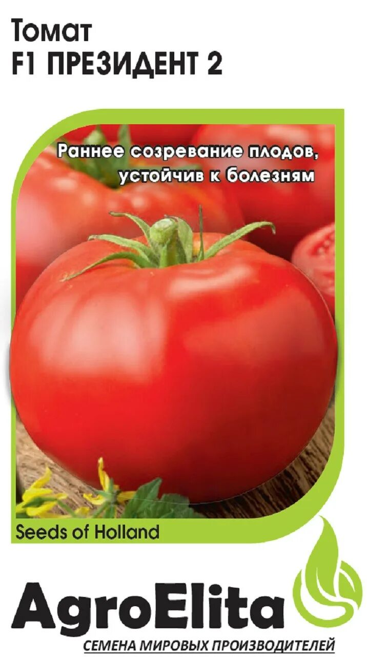 Помидор президент отзывы фото ✔ Семена Томат Президент 2 F1, 5шт, AgroElita, Bejo по цене 104 руб. ◈ Большой в