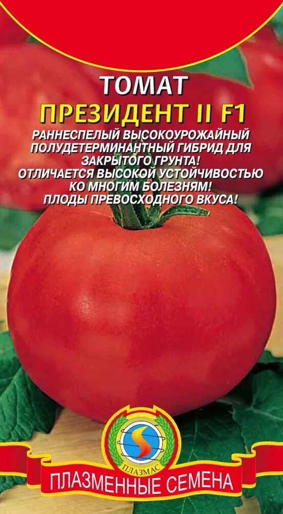 Помидор президент отзывы фото Томат Президент 2 F1 (раннеспелый, высокоурожайный полудетерминантный гибрид для