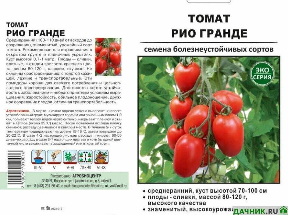 Помидор рио гранде описание сорта фото Сорта томатов для консервирования и засолки Дачник.RU Дзен