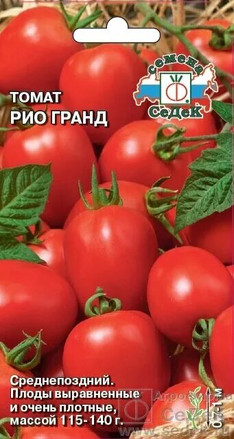 Помидор рио гранде описание сорта фото Томат Рио Гранд 0,2 гр СДК ! НОВИНКА! (280456165) купить с доставкой по доступно