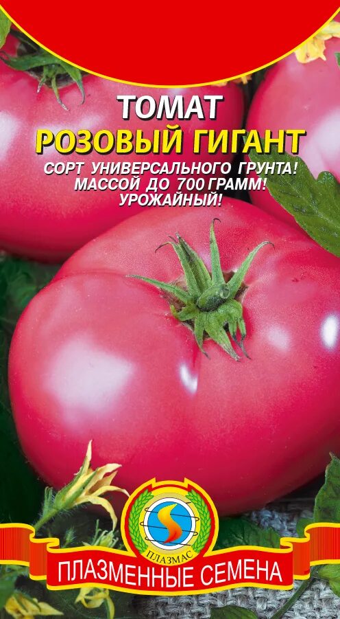 Помидор розовый гигант фото Купить томат розовый гигант - Доставка по Томску и всей России Интернет-магазин 