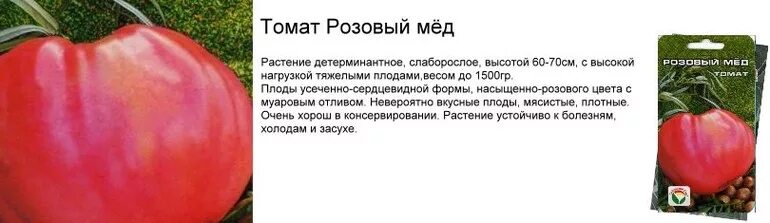 Помидор розовый мед описание фото отзывы Томат Розовый мед, сажал уже кто? - 27 ответов форум Babyblog