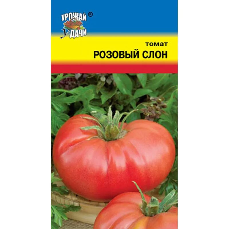 Помидор розовый слон фото Сорт томата розовый слон: найдено 87 картинок