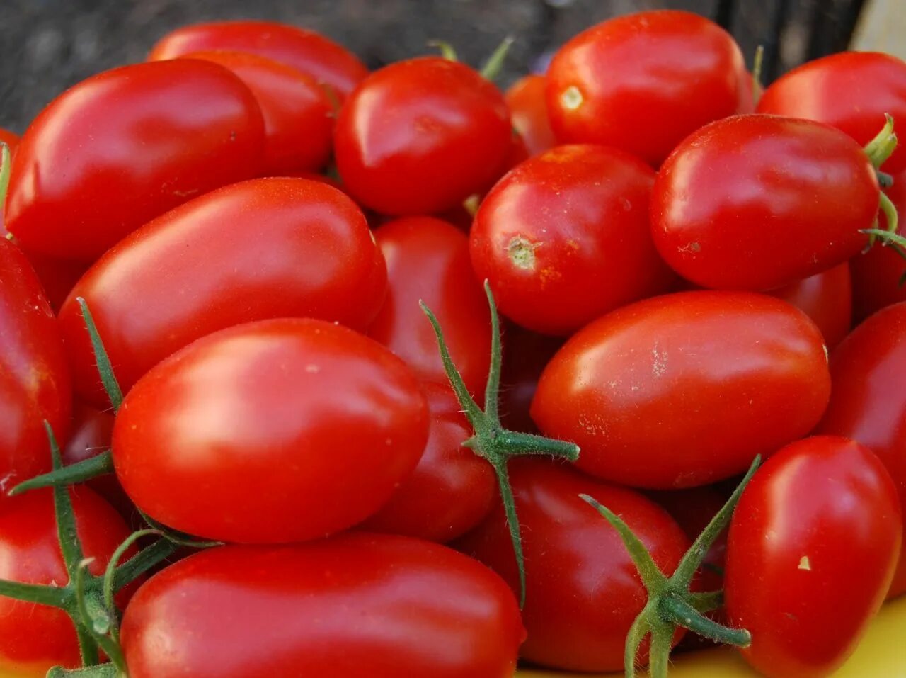 Помидор самара фото grape tomato igardendaily Tomato seeds, Tomato garden, Edible garden