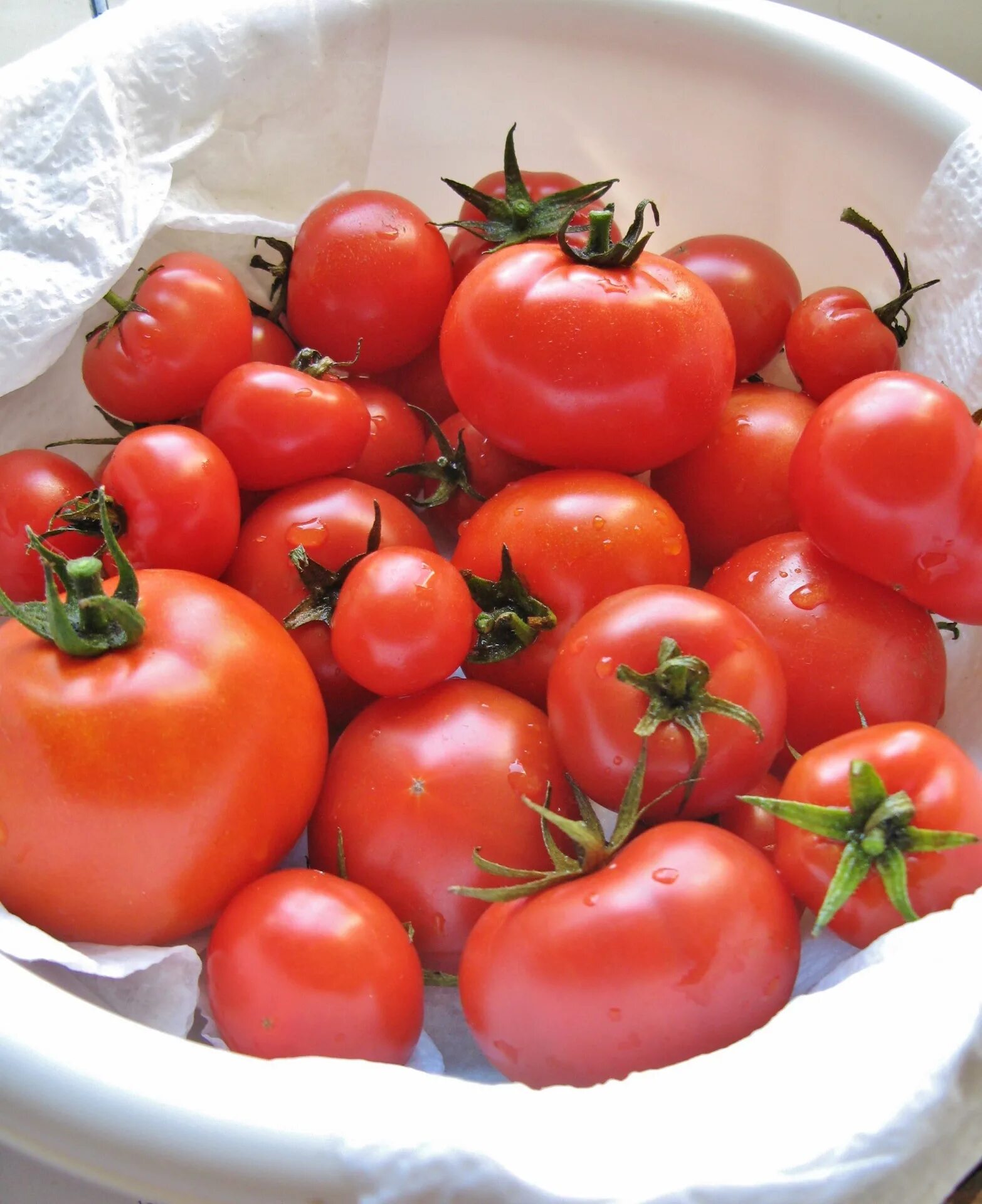 Помидор самара фото Tomatoes in white bowl free image download