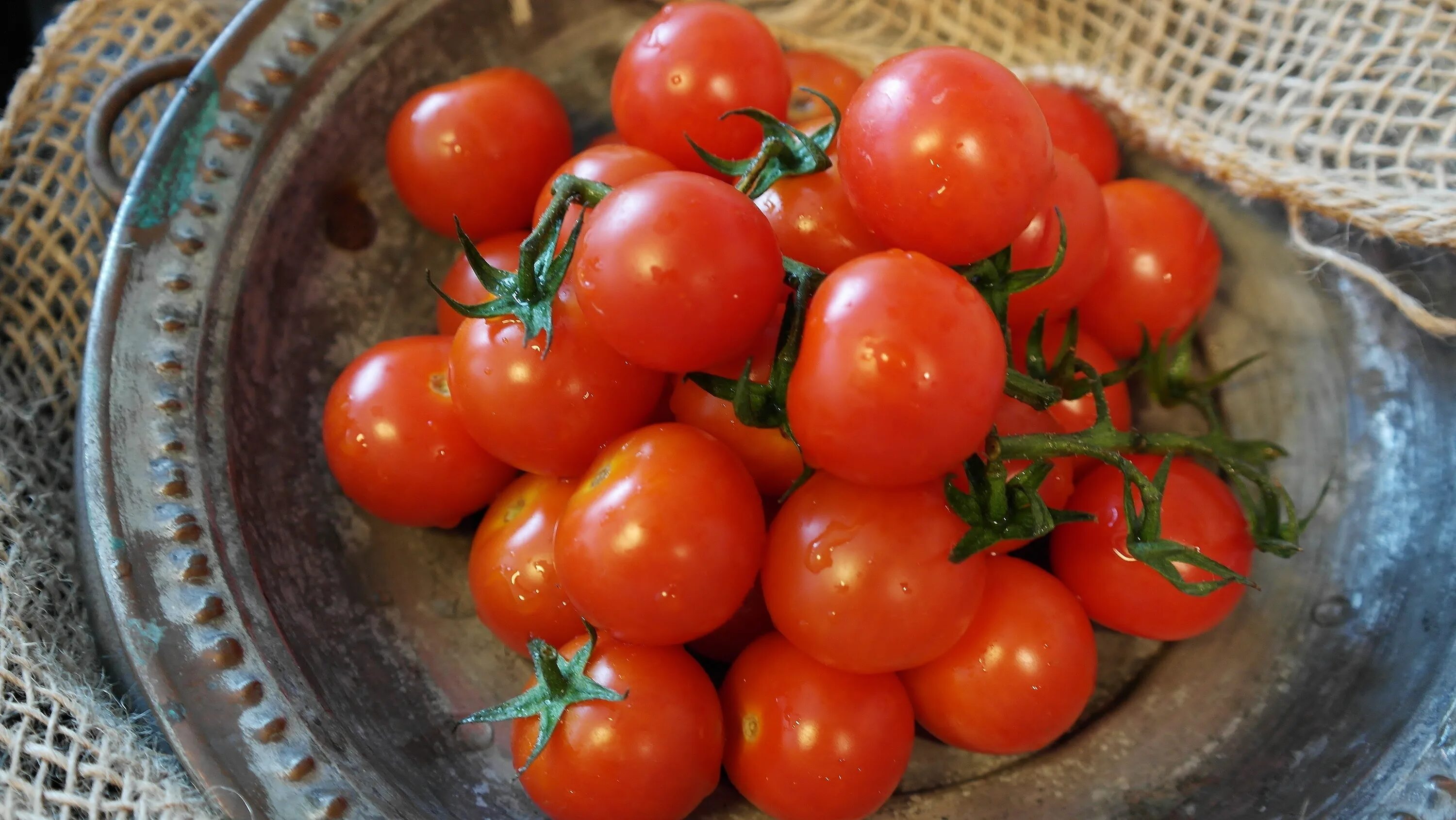 Помидор самара фото Healthy Red Tomatoes vegetables free image download