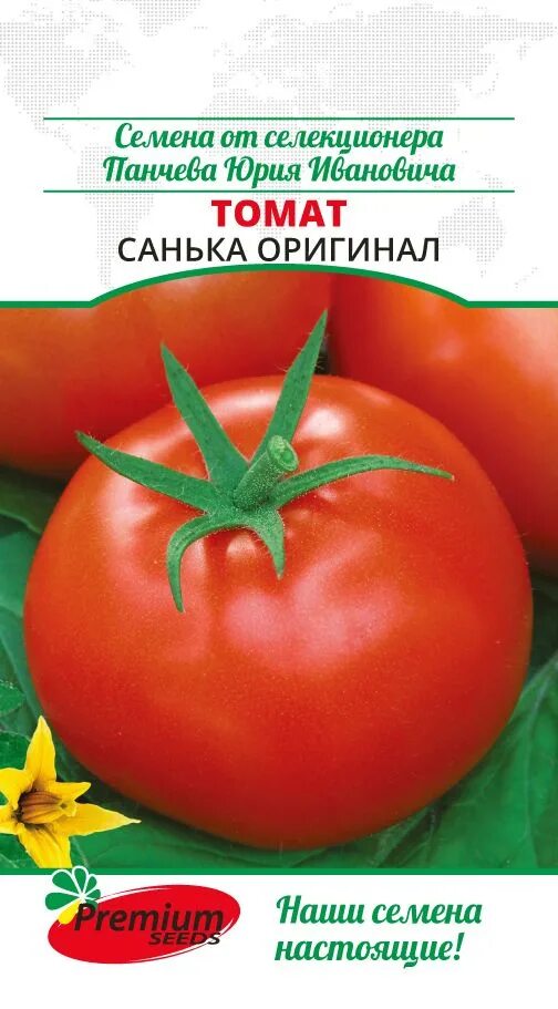 Помидор санька описание и фото отзывы Томаты Премиум Сидс Томат Санька оригинал (0,05 г.), 2 пакета - купить по выгодн