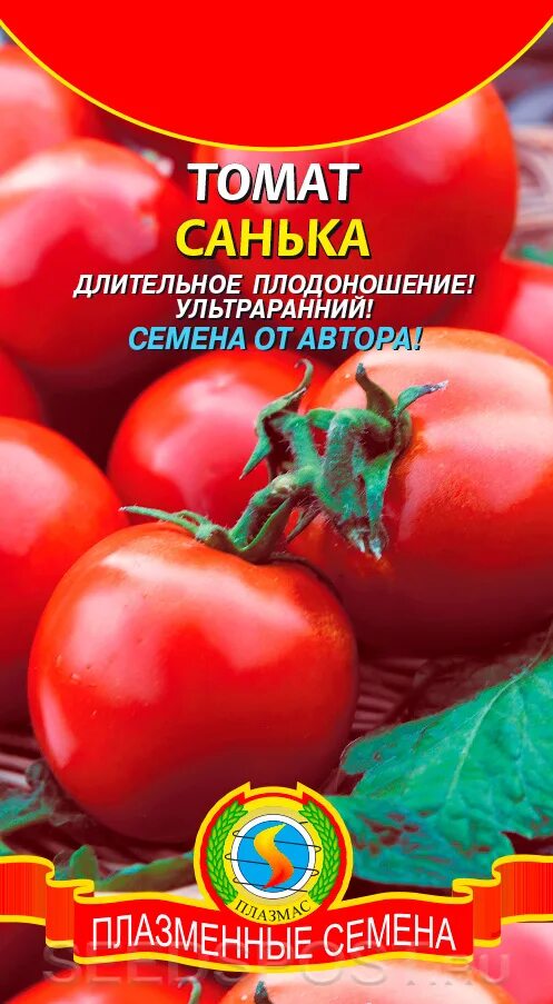 Помидор санька описание и фото отзывы Томат Санька, 0,1 г Семена от автора, купить в интернет магазине Seedspost.ru