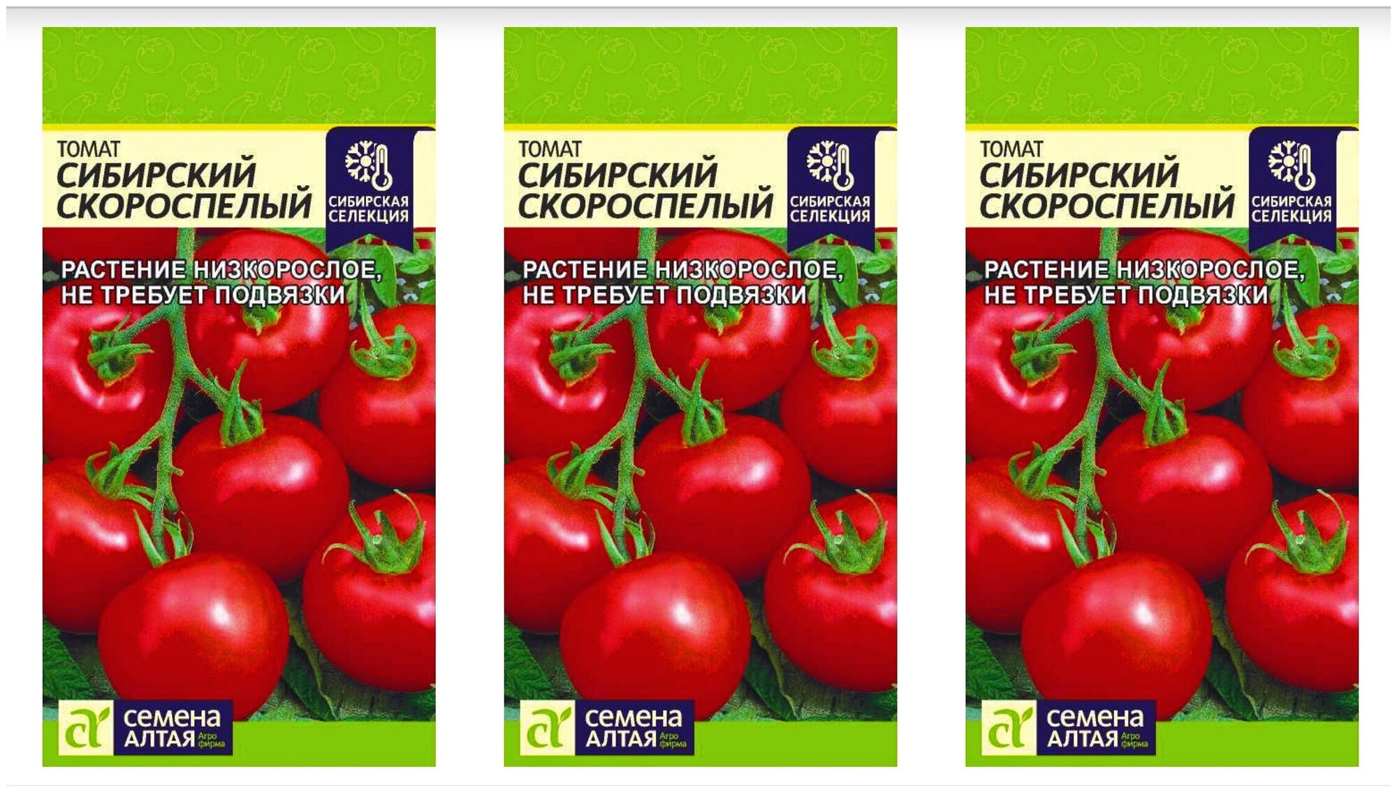 Помидор сибирский скороспелый отзывы фото 3 пакета Семена томат Сибирский Скороспелый 0,1 г - купить в интернет-магазине п