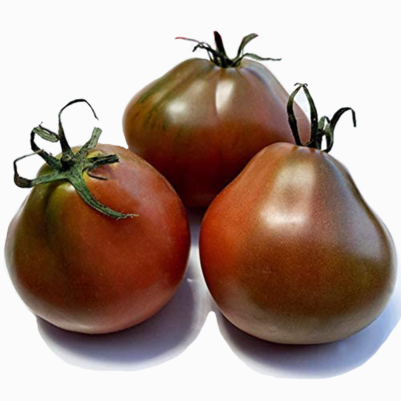 Помидор сорт японский трюфель фото описание Tomato Japanese Trifele Black Organic 100 Seeds