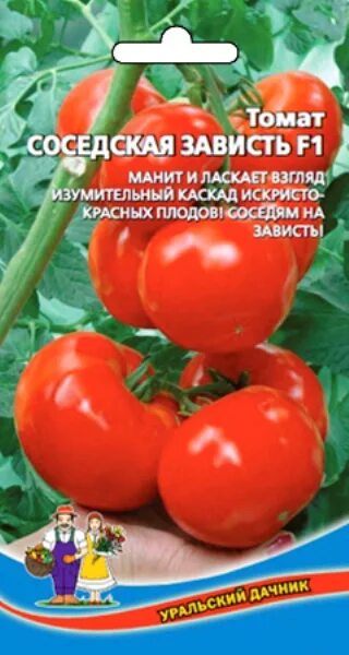 Помидор соседская зависть фото Купить Томат "Уральский дачник" Соседская зависть F1 12 сем в Онсад.ру с доставк