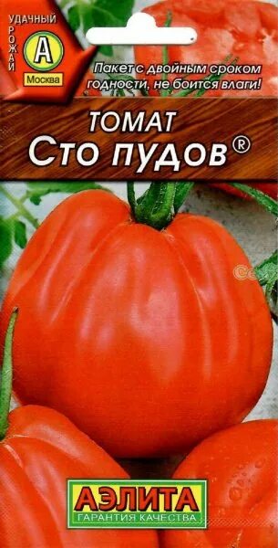 Помидор сто пудов фото и описание Купить семена томата в Волгограде. Низкие цены. Интернет-магазин. ОПТ!, интернет