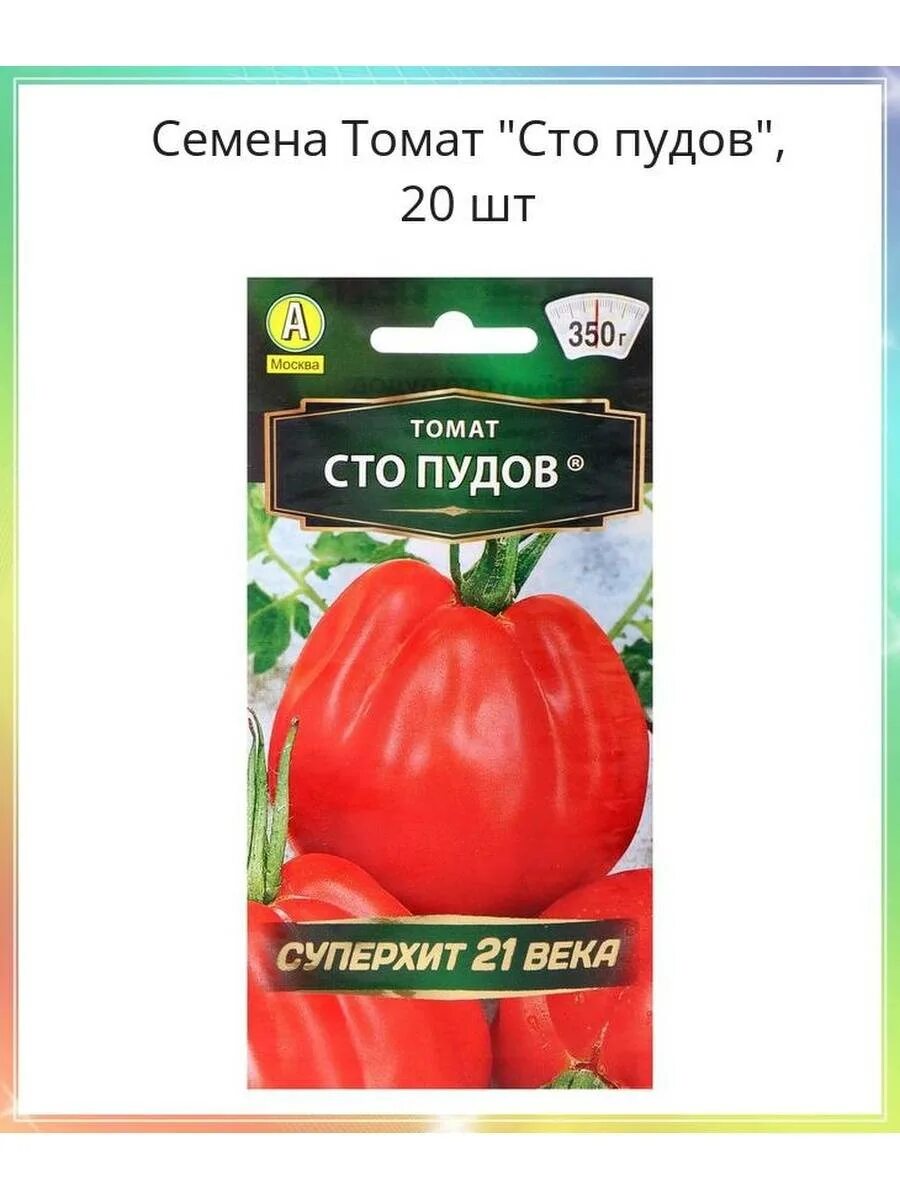 Помидор сто пудов фото и описание Томат Стопудовый: характеристика и описание гибридного сорта с фото