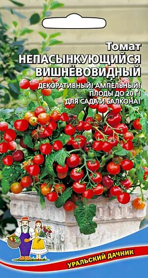 Помидор уральский дачник описание и фото Купить Семена Томат непасынкующийся Вишневовидный от Уральский дачник, 13096