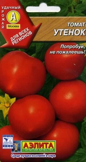 Помидор утенок фото Семена оптом, семена в розницу; лук севок оптом, лук севок в розницу; Семена и С