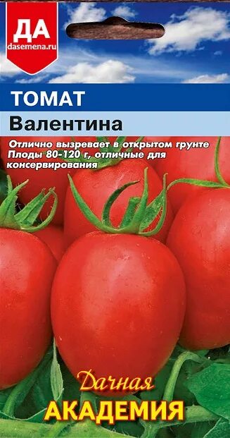 Помидор валентина описание фото Томат Валентина