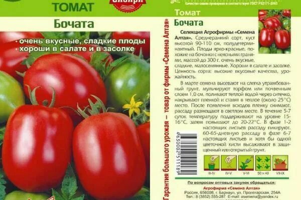 Помидор верочка описание сорта фото отзывы Pin on Pomodoro Vegetables, Pomodoro, Tomato