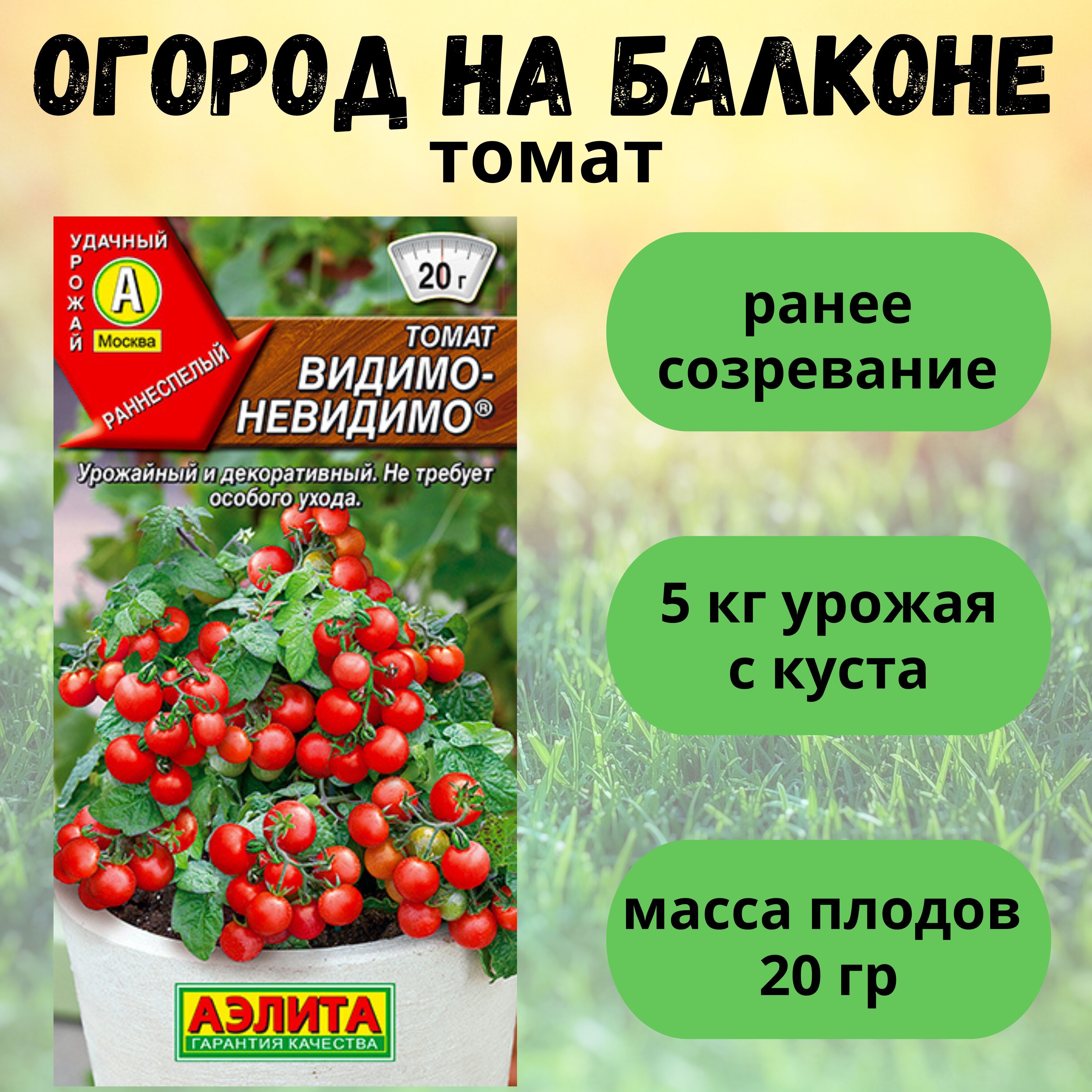 Помидор видимо невидимо отзывы фото Томаты Аэлита Набор Огурец Бабушкин секрет и Огурец Всегда удачные_1_Томат Вишне