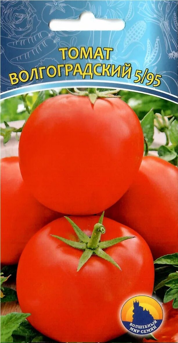 Помидор волгоградский скороспелый фото Томаты