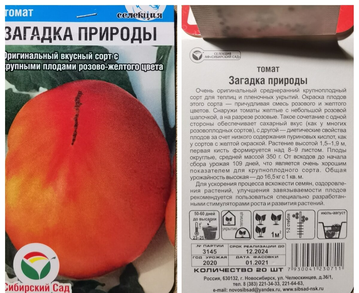 Помидор загадка описание сорта фото Пакетики vs коллекционные сорта. Стоит ли сажать томаты от агрофирм? Юлия Анцифр