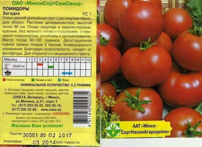 Помидор загадка описание сорта фото Томат Делициозус: характеристика и описание индетерминантного сорта с фото