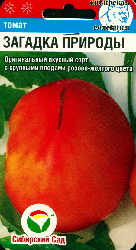 Помидор загадка описание сорта фото Томат Загадка Природы : семена