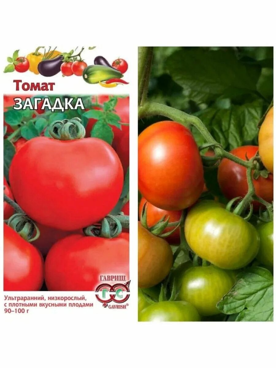 Помидор загадка описание сорта фото Томат Загадка Гавриш 155126290 купить за 122 ₽ в интернет-магазине Wildberries