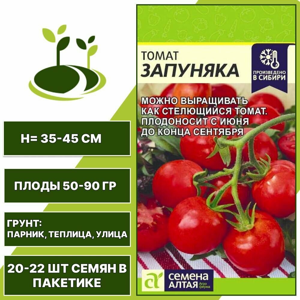 Помидор запуняка описание сорта фото отзывы садоводов Томат Запуняка 1 шт МД, Семена Алтая, низкорослый, вес семян в пакетике 0,05 гр 