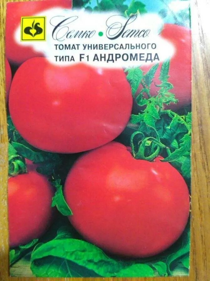 Помидора андромеда фото Томат Андромеда: характеристика и описание сорта, урожайность, отзывы с фото