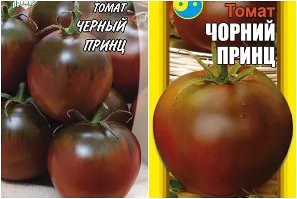 Помидора черный принц фото отзывы ✅ Tomato Black Prince: characteristics and description of the variety, yield and