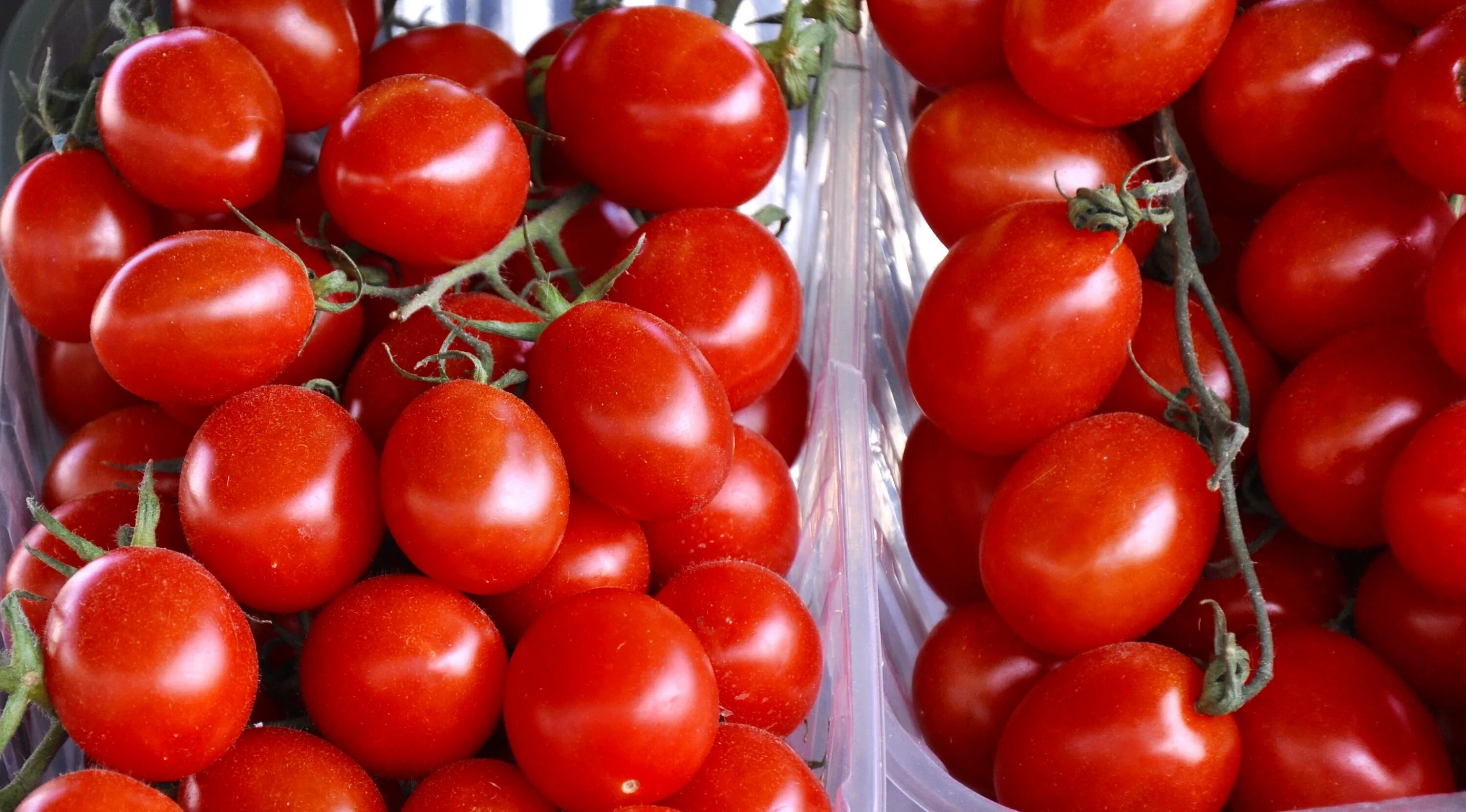 Помидора лукум фото Free Images : fruit, food, red, produce, vegetable, vegetables, tomatoes, flower