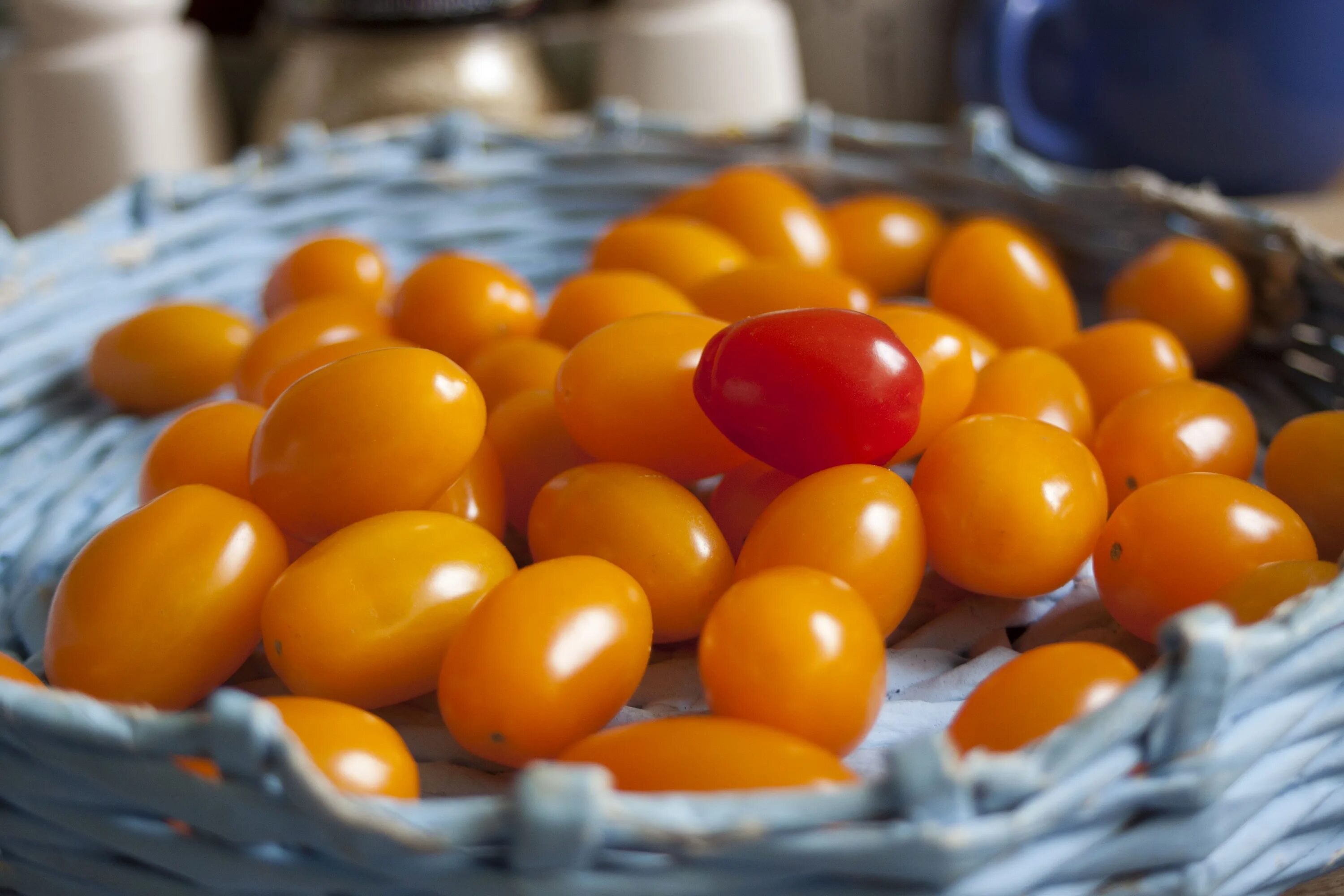 Помидора лукум фото Mini-Tomatoes in a wicker bowl close-up free image download